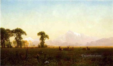Deer Grazing Grand Tetons Wyoming Albert Bierstadt Oil Paintings